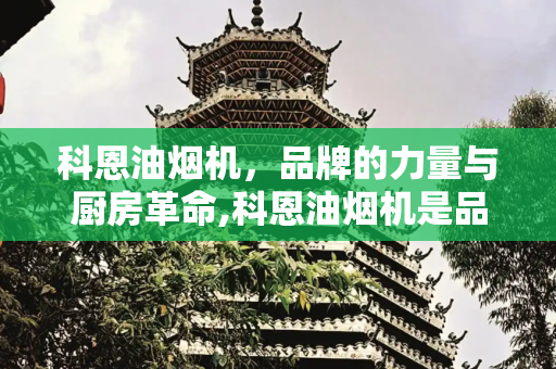 科恩油烟机，品牌的力量与厨房革命,科恩油烟机是品牌吗