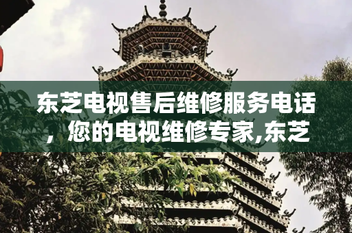 东芝电视售后维修服务电话，您的电视维修专家,东芝电视售后维修服务电话
