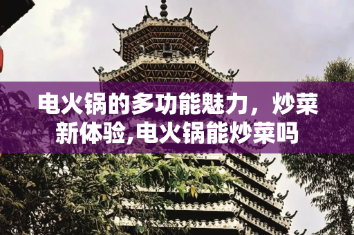 电火锅的多功能魅力，炒菜新体验,电火锅能炒菜吗