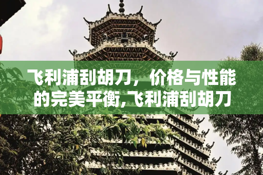 飞利浦刮胡刀，价格与性能的完美平衡,飞利浦刮胡刀价格