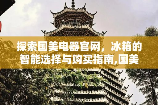 探索国美电器官网，冰箱的智能选择与购买指南,国美电器官网冰箱