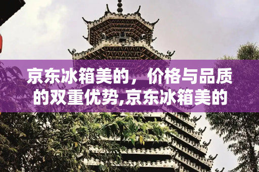 京东冰箱美的，价格与品质的双重优势,京东冰箱美的价格