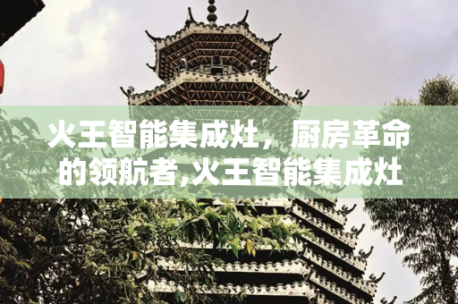 火王智能集成灶，厨房革命的领航者,火王智能集成灶十大品牌