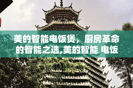 美的智能电饭煲，厨房革命的智能之选,美的智能 电饭煲