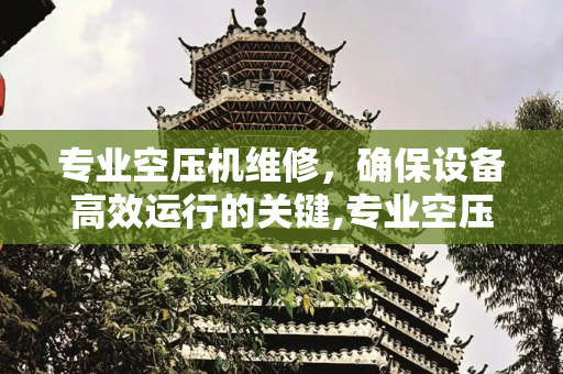专业空压机维修，确保设备高效运行的关键,专业空压机维修