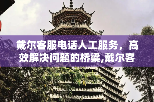 戴尔客服电话人工服务，高效解决问题的桥梁,戴尔客服电话人工服务
