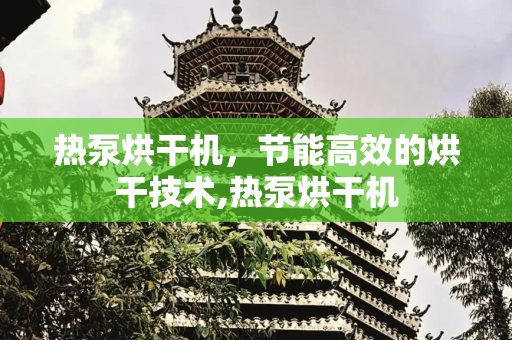 热泵烘干机，节能高效的烘干技术,热泵烘干机