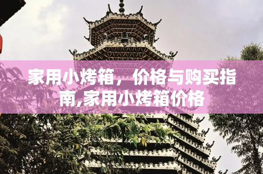 家用小烤箱，价格与购买指南,家用小烤箱价格