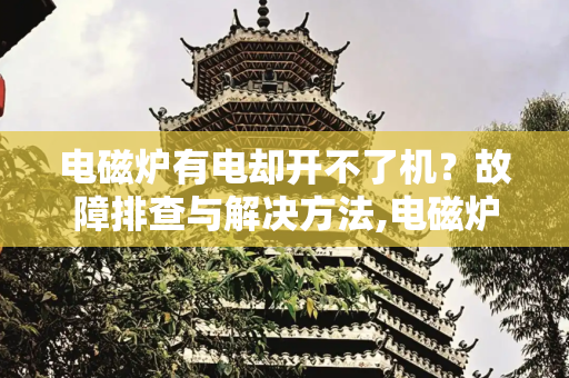 电磁炉有电却开不了机？故障排查与解决方法,电磁炉有电开不了机怎么办