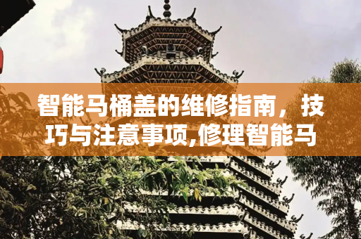 智能马桶盖的维修指南，技巧与注意事项,修理智能马桶盖