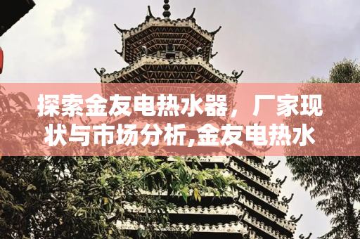 探索金友电热水器，厂家现状与市场分析,金友电热水器厂家还有吗