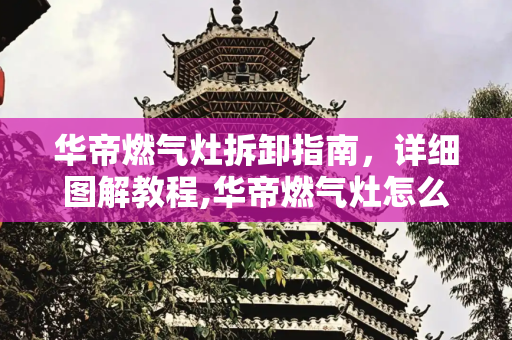 华帝燃气灶拆卸指南，详细图解教程,华帝燃气灶怎么拆卸图