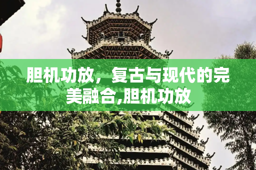 胆机功放，复古与现代的完美融合,胆机功放