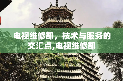 电视维修部，技术与服务的交汇点,电视维修部