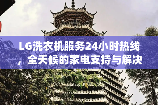 LG洗衣机服务24小时热线，全天候的家电支持与解决方案,lg洗衣机服务24小时热线