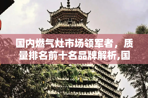 国内燃气灶市场领军者，质量排名前十名品牌解析,国内燃气灶质量排名前十名
