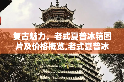 复古魅力，老式夏普冰箱图片及价格概览,老式夏普冰箱图片及价格