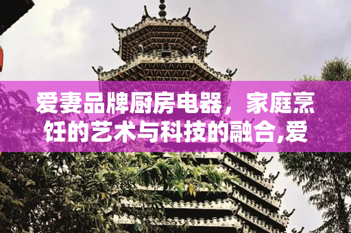 爱妻品牌厨房电器，家庭烹饪的艺术与科技的融合,爱妻品牌厨房电器