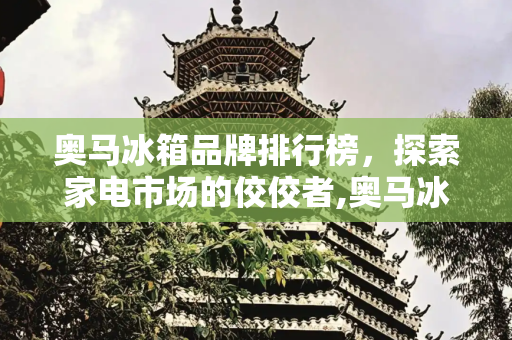 奥马冰箱品牌排行榜，探索家电市场的佼佼者,奥马冰箱品牌排行榜