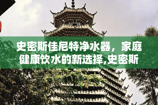 史密斯佳尼特净水器，家庭健康饮水的新选择,史密斯佳尼特净水器怎么样