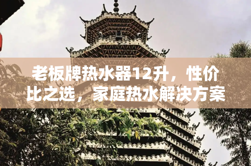 老板牌热水器12升，性价比之选，家庭热水解决方案,老板牌热水器12升价格