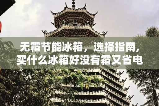 无霜节能冰箱，选择指南,买什么冰箱好没有霜又省电