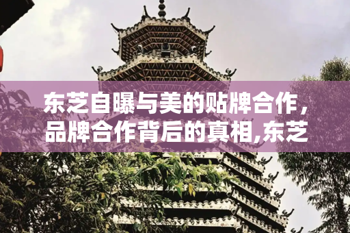东芝自曝与美的贴牌合作，品牌合作背后的真相,东芝自曝美的贴牌的