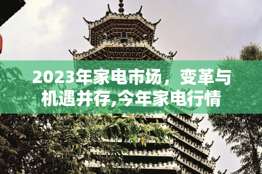 2023年家电市场，变革与机遇并存,今年家电行情