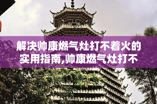 解决帅康燃气灶打不着火的实用指南,帅康燃气灶打不着火解决方法