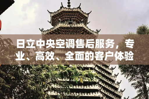 日立中央空调售后服务，专业、高效、全面的客户体验,日立中央空调售后服务展示