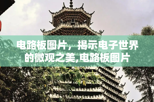 电路板图片，揭示电子世界的微观之美,电路板图片
