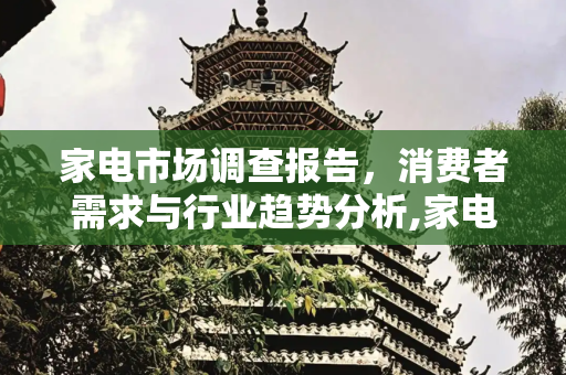 家电市场调查报告，消费者需求与行业趋势分析,家电市场调查报告