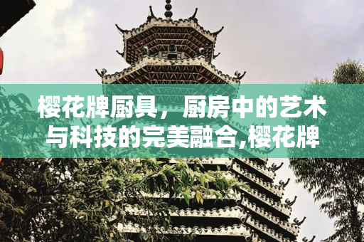 樱花牌厨具，厨房中的艺术与科技的完美融合,樱花牌厨具