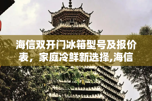 海信双开门冰箱型号及报价表，家庭冷鲜新选择,海信双开门冰箱型号及报价表