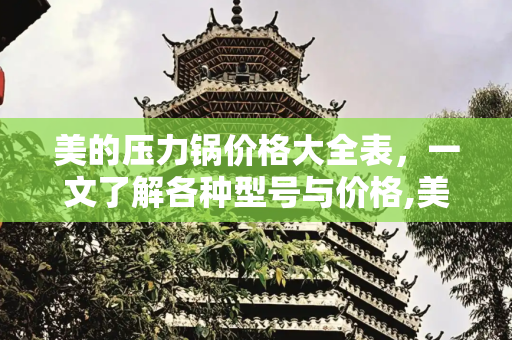 美的压力锅价格大全表，一文了解各种型号与价格,美的压力锅价格大全表