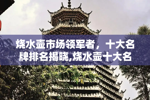 烧水壶市场领军者，十大名牌排名揭晓,烧水壶十大名牌排名