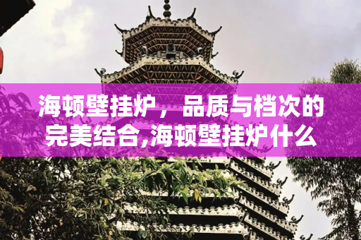 海顿壁挂炉，品质与档次的完美结合,海顿壁挂炉什么档次