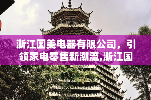 浙江国美电器有限公司，引领家电零售新潮流,浙江国美电器有限公司