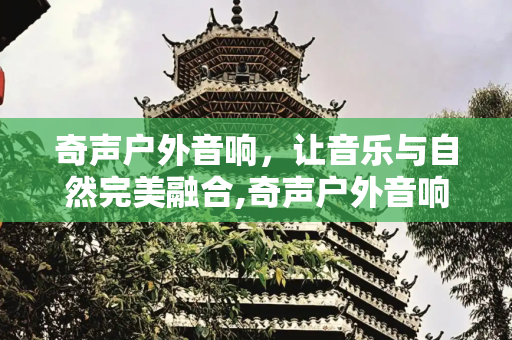 奇声户外音响，让音乐与自然完美融合,奇声户外音响