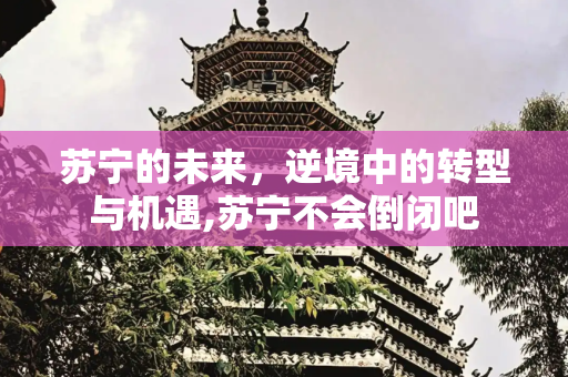 苏宁的未来，逆境中的转型与机遇,苏宁不会倒闭吧