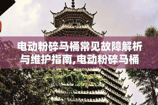 电动粉碎马桶常见故障解析与维护指南,电动粉碎马桶常见故障