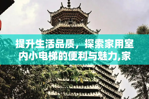提升生活品质，探索家用室内小电梯的便利与魅力,家用室内小电梯