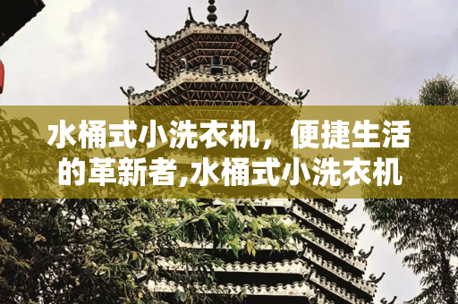 水桶式小洗衣机，便捷生活的革新者,水桶式小洗衣机