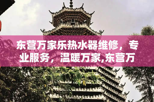 东营万家乐热水器维修，专业服务，温暖万家,东营万家乐热水器维修