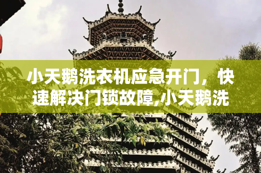 小天鹅洗衣机应急开门，快速解决门锁故障,小天鹅洗衣机应急开门