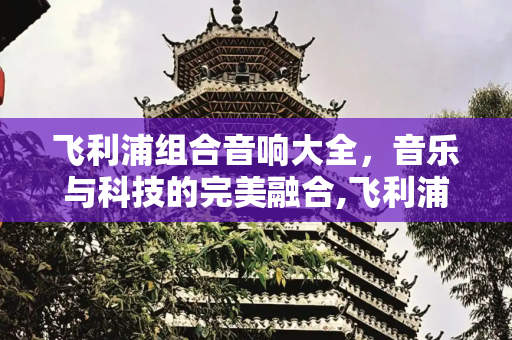 飞利浦组合音响大全，音乐与科技的完美融合,飞利浦组合音响大全