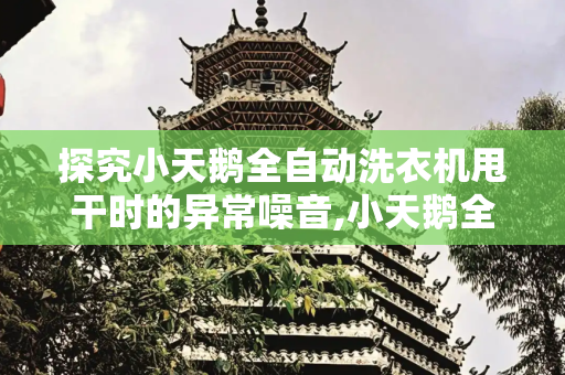探究小天鹅全自动洗衣机甩干时的异常噪音,小天鹅全自动洗衣机甩干时候声音特别大