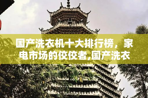国产洗衣机十大排行榜，家电市场的佼佼者,国产洗衣机十大排行榜
