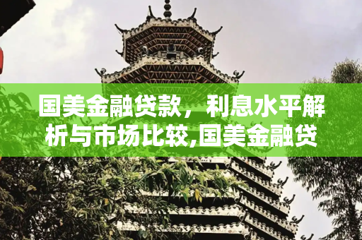 国美金融贷款，利息水平解析与市场比较,国美金融贷款利息高吗