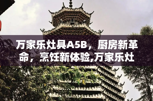 万家乐灶具A5B，厨房新革命，烹饪新体验,万家乐灶具a5b